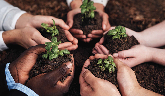 Tanaman — Tumbuh Bersama